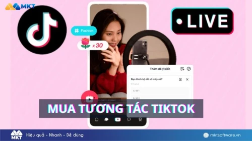 Cách mua tương tác TikTok uy tín, chất lượng 2026