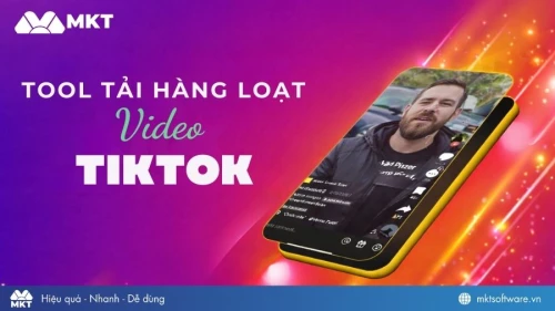 Tool tải hàng loạt video TikTok nhanh chóng, không watermark