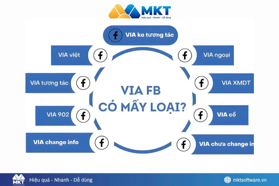 Hình ảnh minh họa về các loại VIA phổ biến