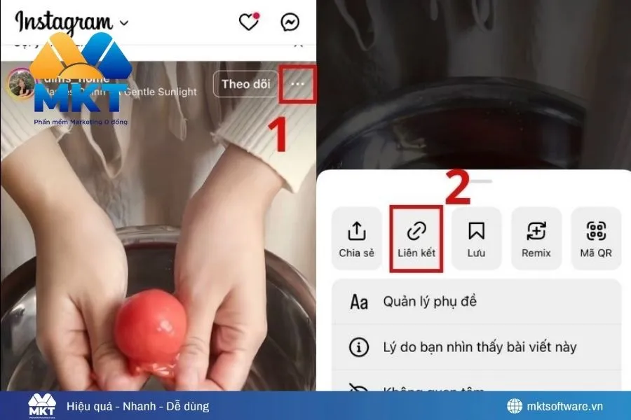 Lưu ảnh trên Instagram trên điện thoại bằng IGDownloader