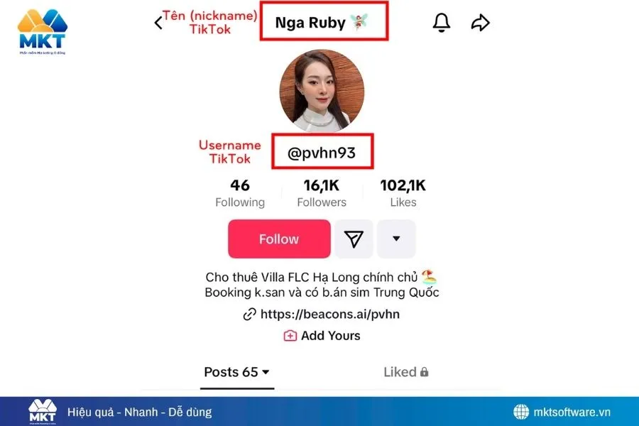 Phân biệt Tên hiển thị và Username TikTok