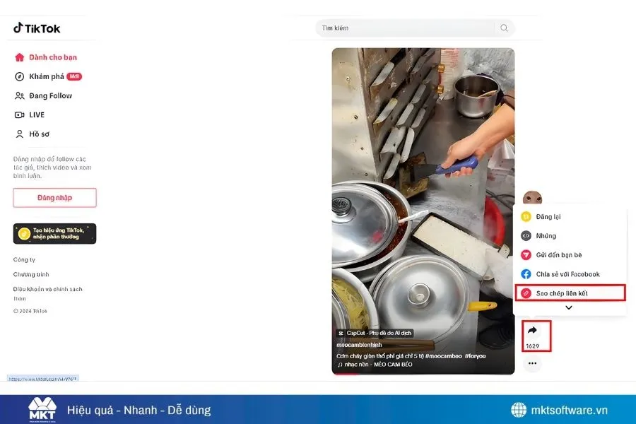 Cách xoá logo Tiktok trên máy tính bằng MusicallyDown