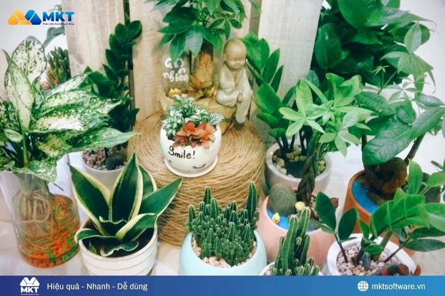 Cách buôn bán đắt hàng nhờ cây xanh phong thủy