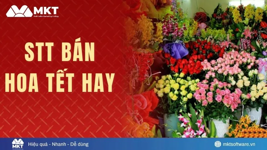 STT bán hoa Tết hay